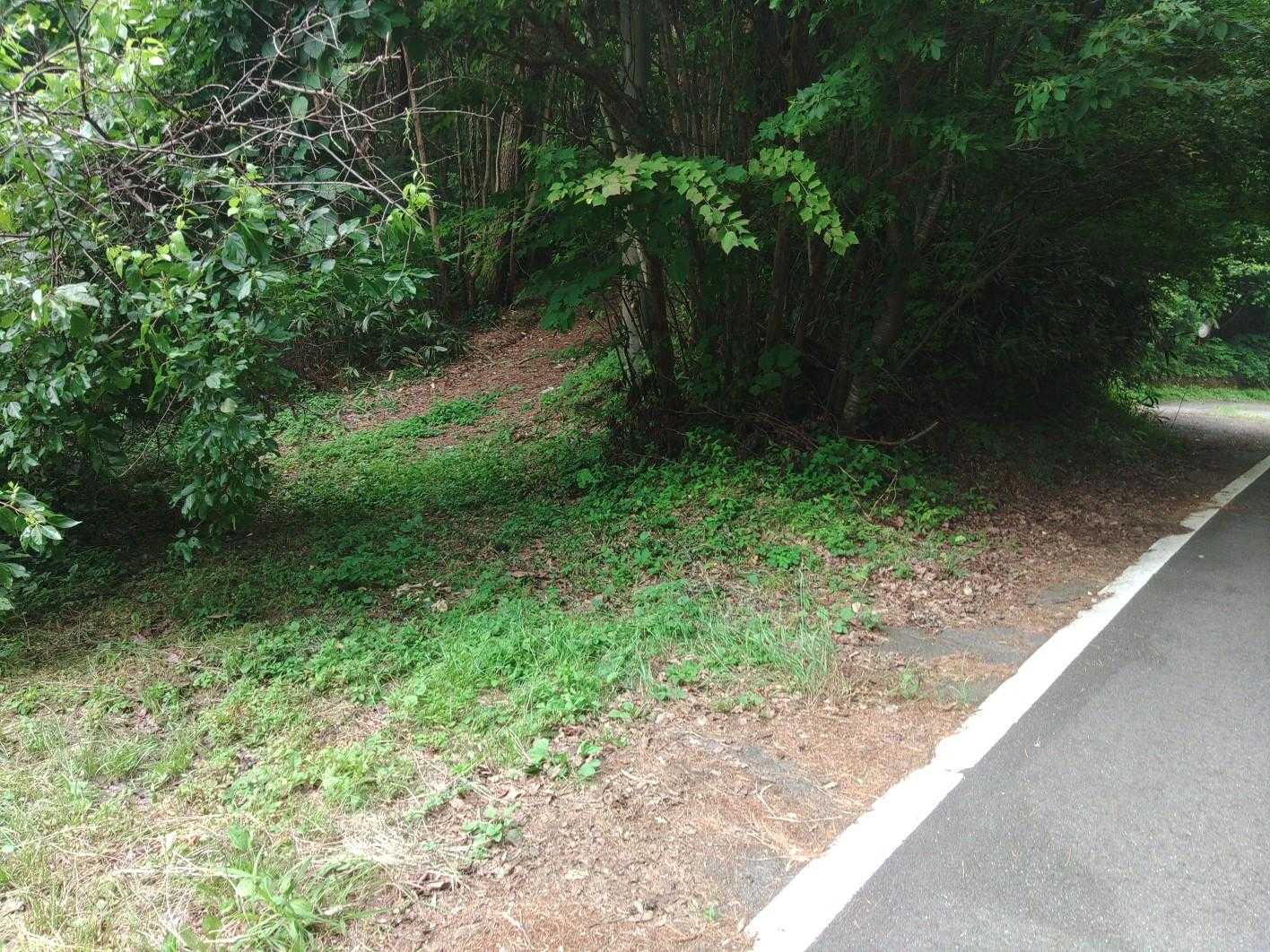  法華山へ取り付き