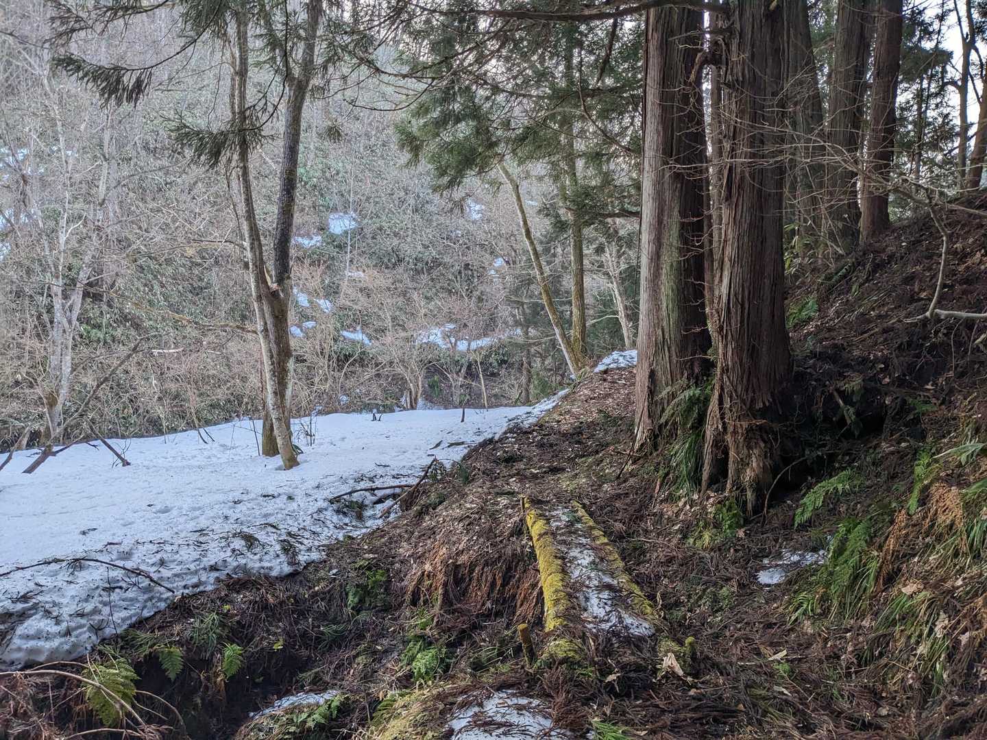 苔の橋