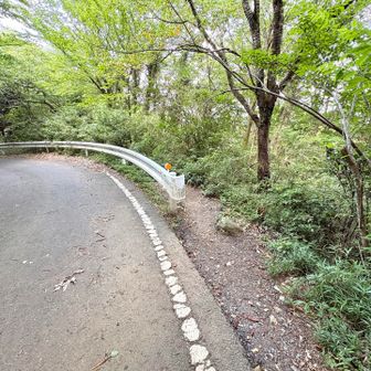 ここから薬王院へ降りました
