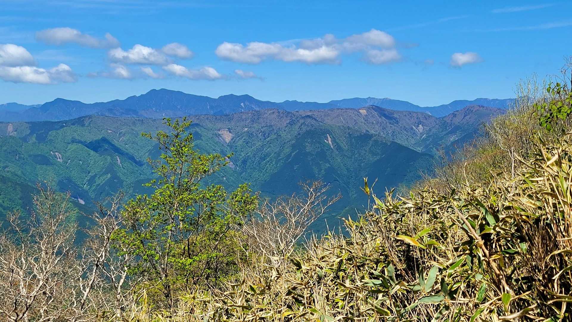 左手に深南部の山々が👀
特に大無間山の雄姿が👍