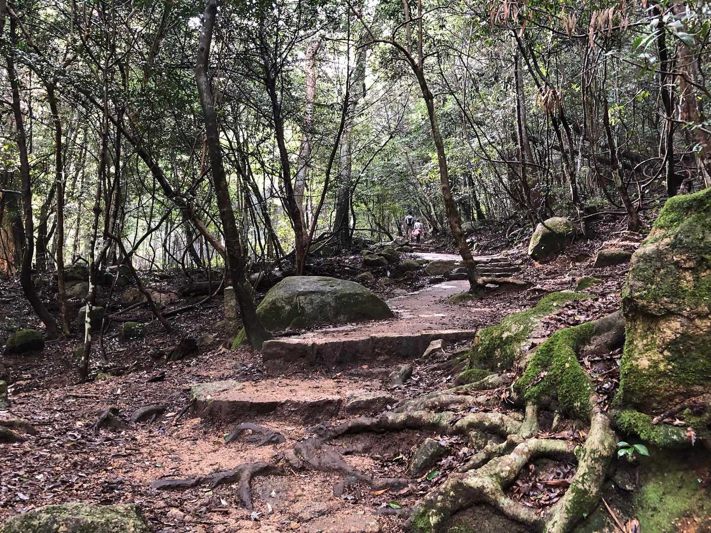 弥山登山道入口-弥山 往復コースの写真