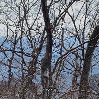 皇海山が見えているはずだけど、どのピークがそうなのかよく分かりませんでした。