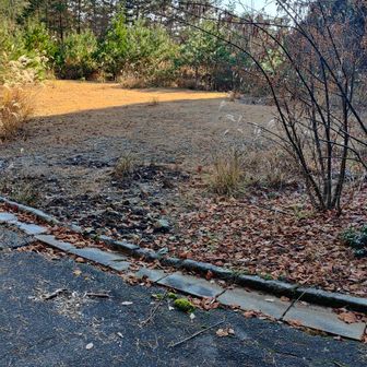 登山道入口前に駐車場あり
途中砂利道もありますが、ここまで車で来れます