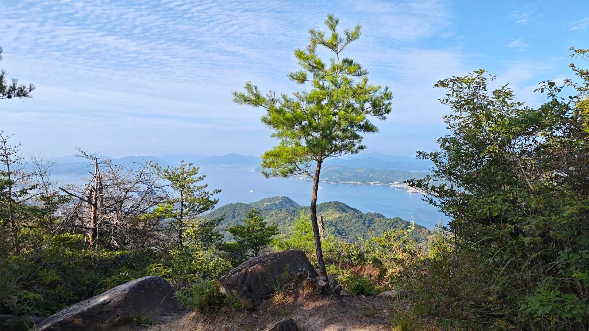 やっぱり山はいいねぇ