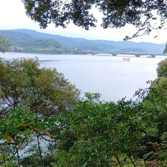 東名高速が見えます