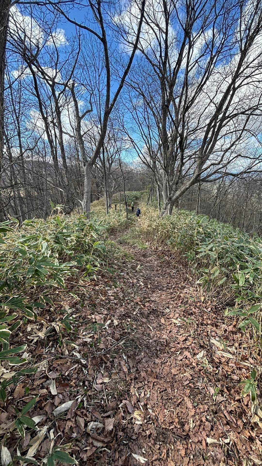 🐸様に追いついて…
ストーカーの様に下山😅
途中でAKKIさんとすれ違いました！