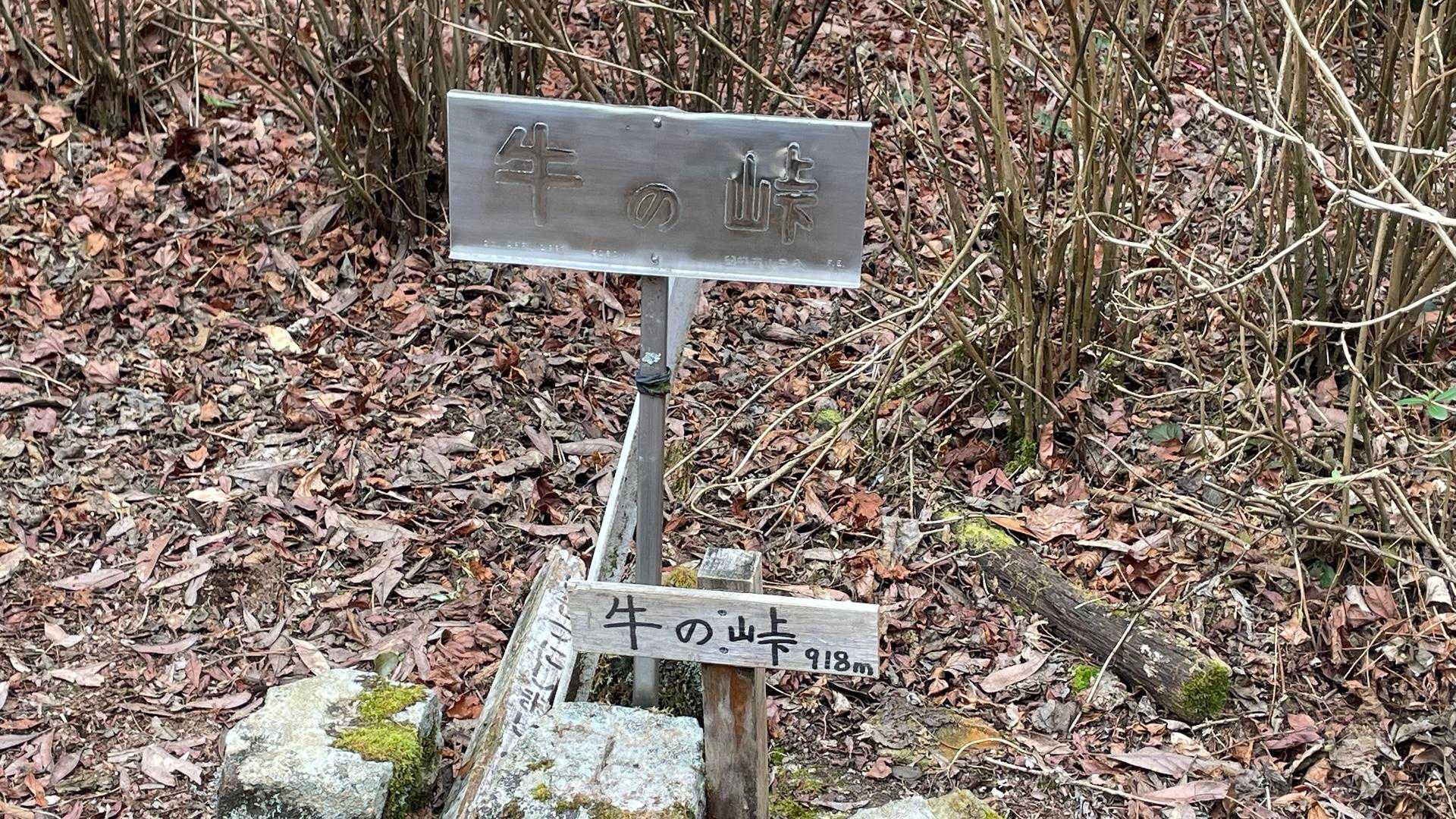 牛の峠登山口-牛の峠 往復コースの写真