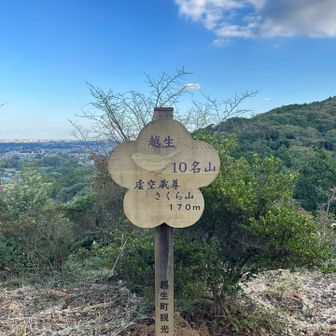 今日はよく見えます