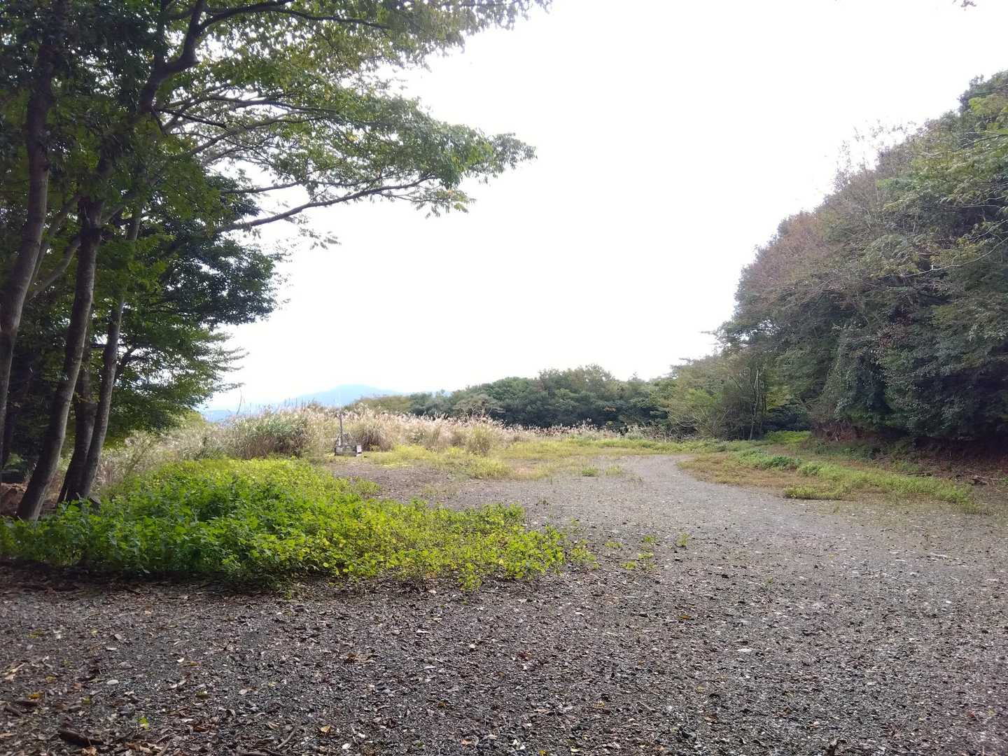 西山大展望✨木材置き場はなくなってスッキリ