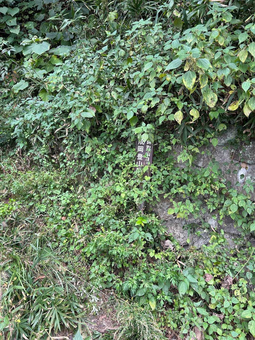 成岡登山口に降りてきました。