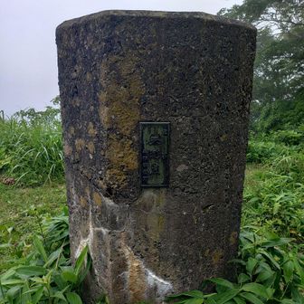 天測点