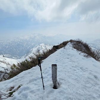 笈ヶ岳 1841m
日本二百名山  45/100

ザックに付けた直射日光を受けた温度計は15℃でした。しばらく直射日光を受けないようにすると10℃になりました。

今年になって、雪山登山経験のない自分が積雪期にしか登れない200&300名山の4座(野伏ヶ岳・猿ヶ馬場山・笈ヶ岳・景鶴山)に登るため、1月に雪山装備を購入し、2月始めから雪山山行を8回してきて、4座の中で1番の難関であろう笈ヶ岳に登ることができました!

残すは尾瀬の景鶴山の1座になりました!