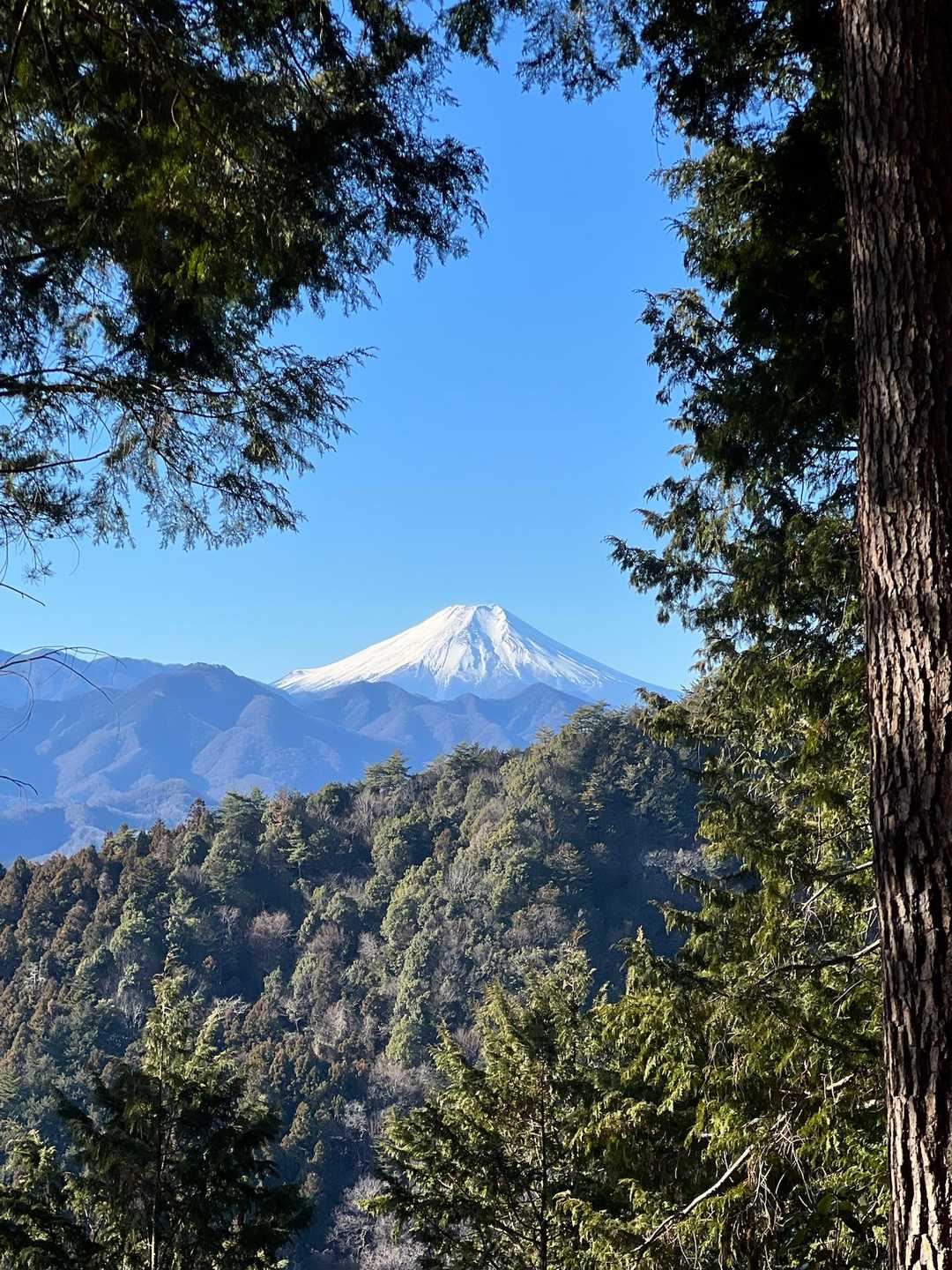早速富士山
