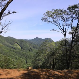 小高山からの景色