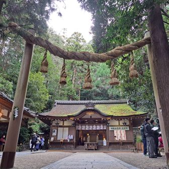 狭井神社（狭井坐大神荒魂神社）⛩️