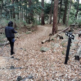 帰りは再び八丈岩へは通らずに、別道で直接的に登城口へ降ります🧐