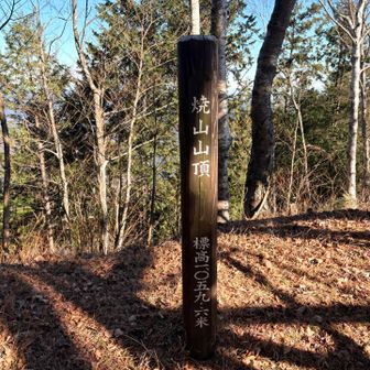 焼山には
