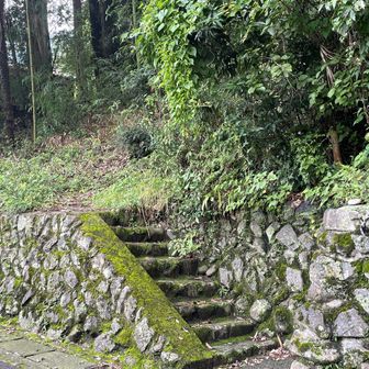 尾根伝いに下っていき、登山口に到着。