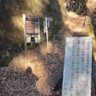 しょっぱなから間違えて手前の坂道で入り10分のロスでした😓
後ろからついてきちゃった人が
偶然同じ宿 だったのですが「あれはあなたでしたか？自信満々に行くから ついて行っちゃいました」
そーです自信満々だったのですよ😅ごめんなさい