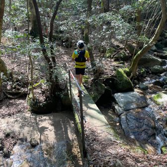  2人して足が痛い🦵
下りも登りも足が痛い🤣
6時間切り間に合わんねーと
ボチボチ下る🏃‍♂️