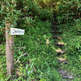 茶臼山登山口