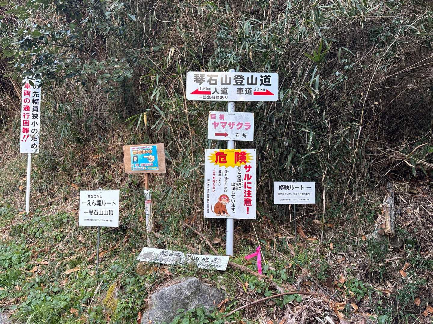 修験ルートを経て(？)下りてきた！
ヤマザクラはまだ先だろうけど、今年は綺麗に咲いてくれるだろうか？