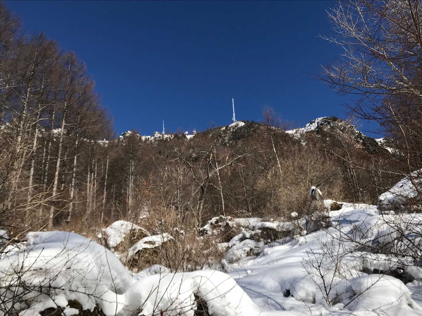 王ヶ頭が青空に映えています。