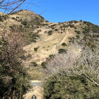 もうひとつ山を登る予定でしたがギブアップ。
湖尻峠から芦ノ湖に下りて遊歩道を歩くことにしました。