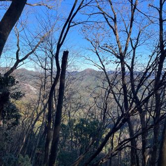左手に奥武蔵の山並みを眺めながら進みます。
