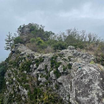 そよ風程度の気候の中、疲れてフラッと落ちない様に気をつけながら歩いた🫡