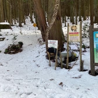 今日も恒例の単独行。