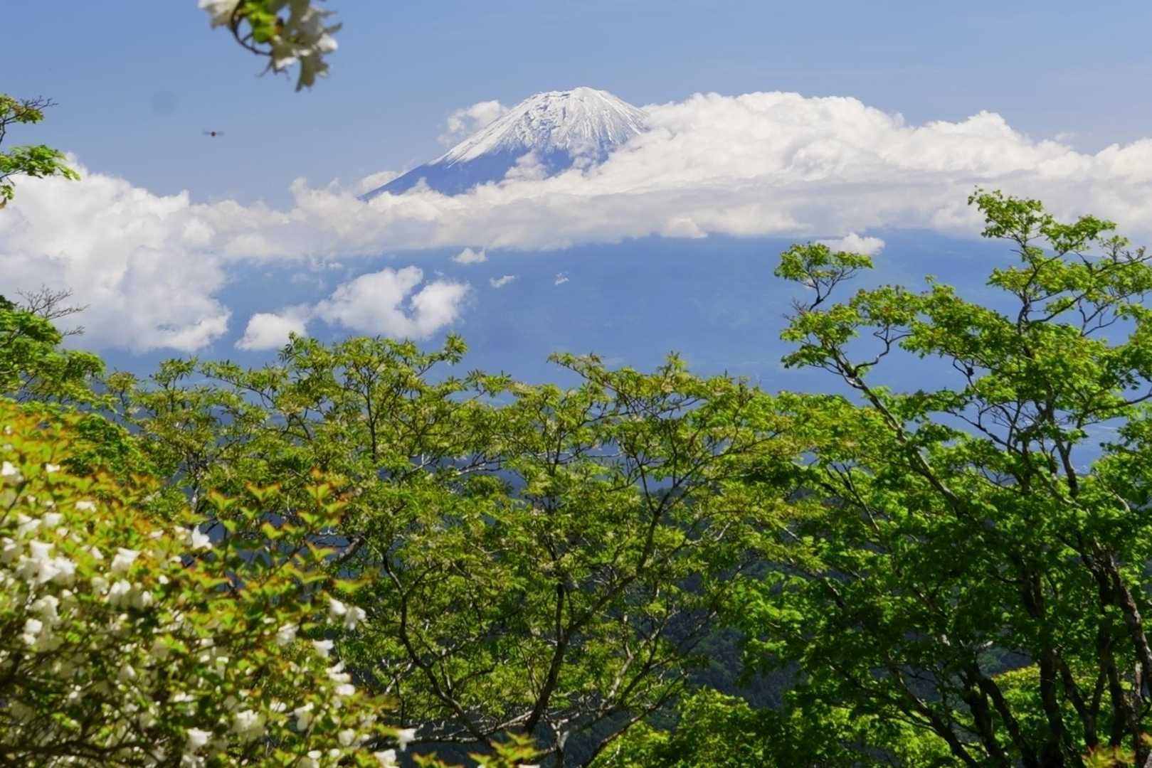 9時頃からは富士山に雲が掛かって来ます
