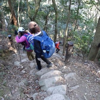 大谷乗越への下り。急な石段。注意して下る。
