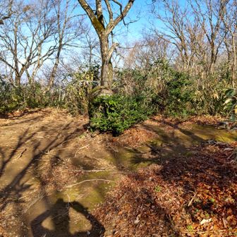 小佐波御前山山頂　標高754.1m
見晴らしはない