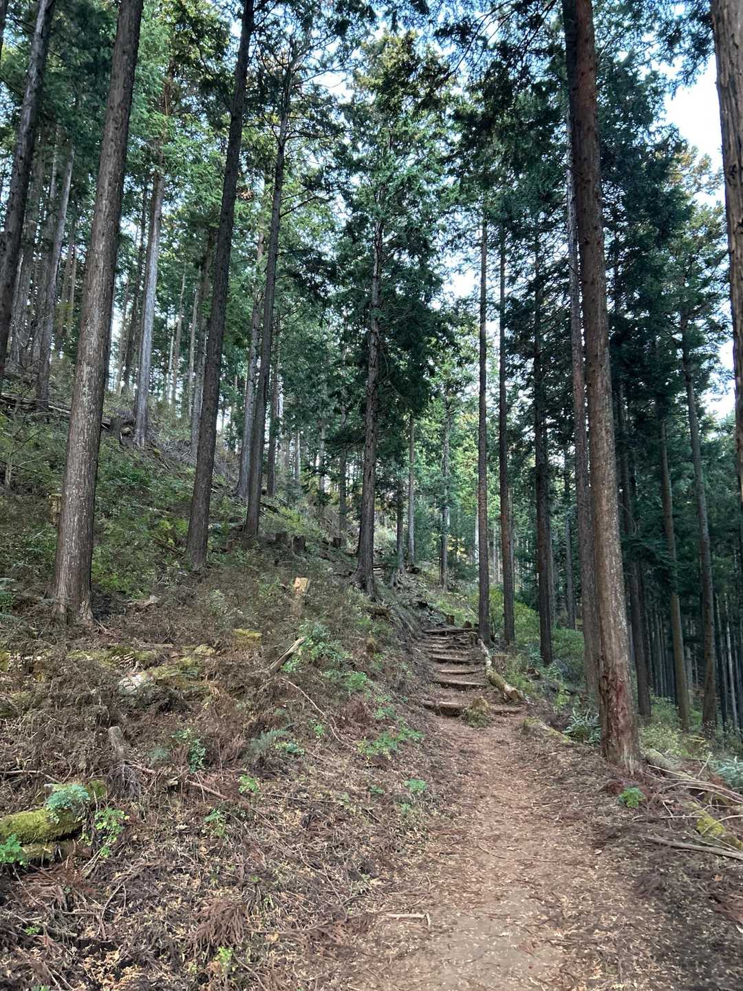 尺里峠-高松山 往復コースの写真