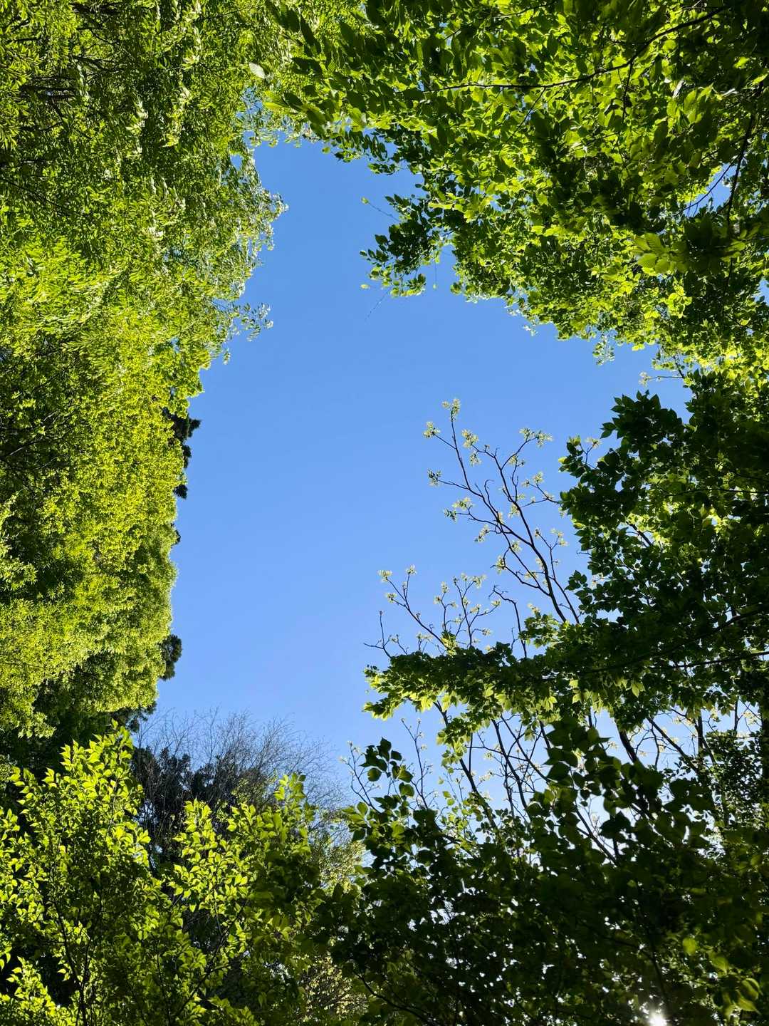 空は青い…快晴☀️…汗💦