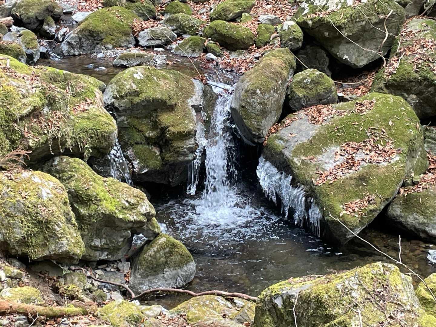 沢の淵につららがあり🧊