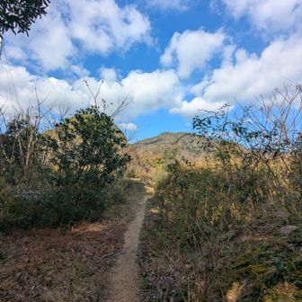 こんな良いトレイルだったかな
また来よう