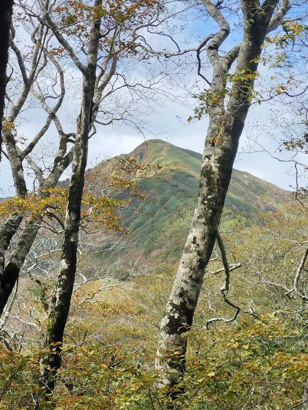 振り返ると