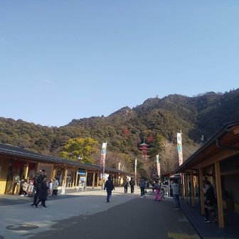 楽市に下山