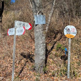 やっと山道です