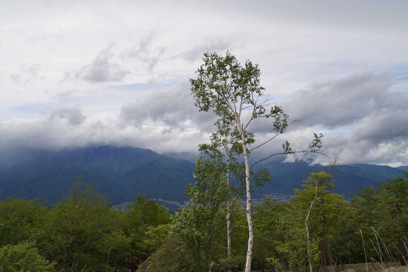 陣馬形山 往復コースの写真
