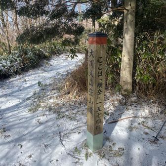 サクッと横岳登頂👍
まだまだこれからよー