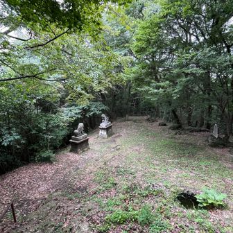 蚊にずっとまとわりつかれるし
神社だから怖さも倍増だし😱⛩️
早く駐車場に帰らせて〜(T^T)