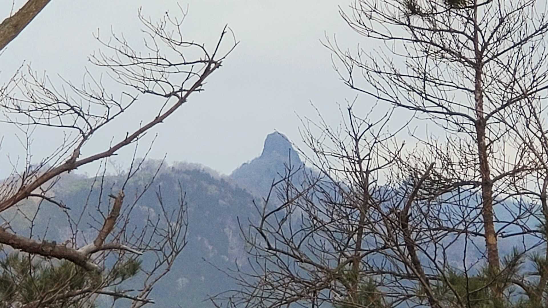 鹿納坊主をズームで・・・
カメラ撮り良くないですね。