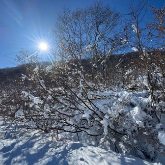 その道すがら・・・どうにか入る場所がないかと