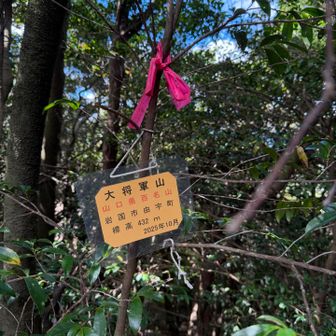 山口県百名山　大将軍山
神社の裏側に看板がありました