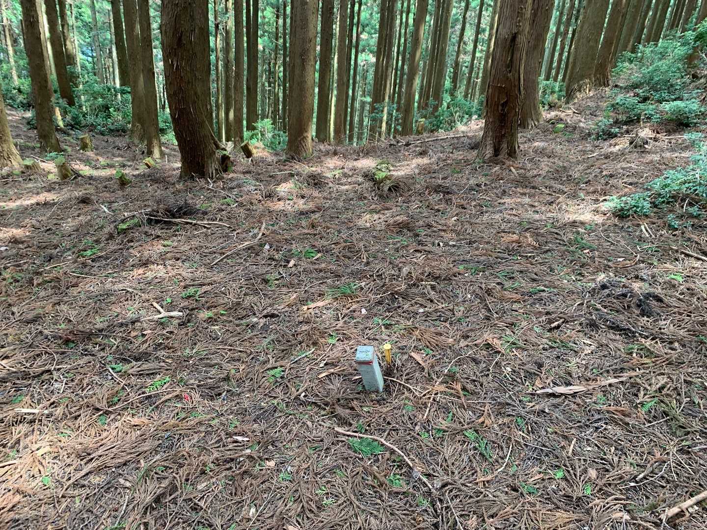ここが分岐。間違えないよう気を付けます。