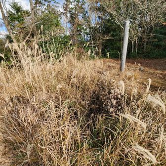 旧日本軍の監視場跡