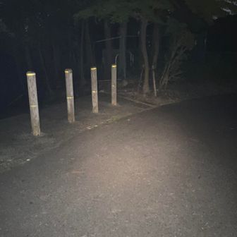 階段は300段弱❓といった感じで長くはないので、本当はもっとスピードを上げたいところです😅